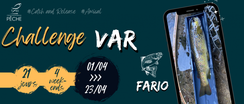 concours 435
