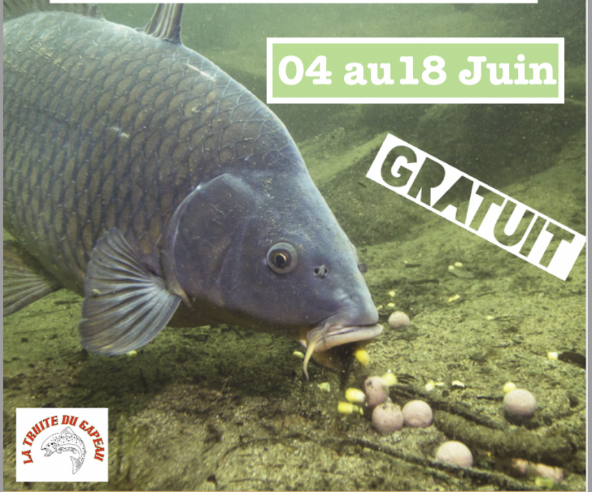 concours 453