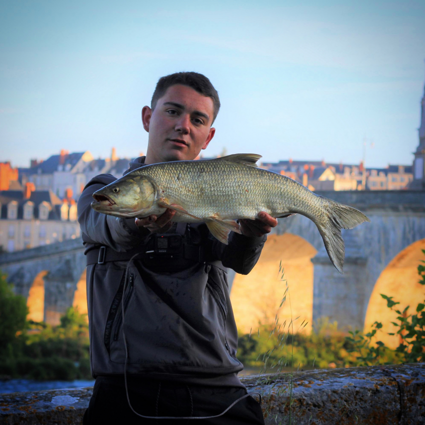 concours 479
