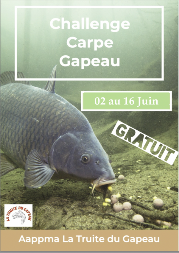 concours 599