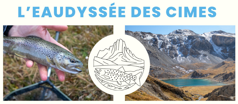 concours 909