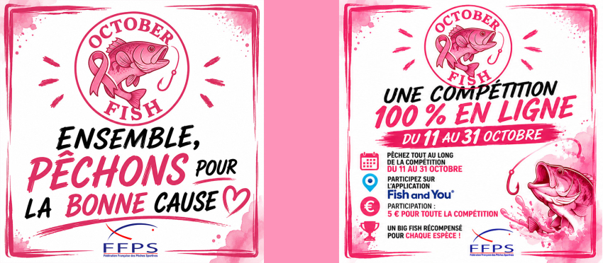 concours 976