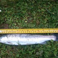 photo prise 130 par Sebcricri Fishing