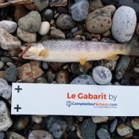 photo prise 142 par Mathieu Duffas