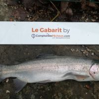 photo prise 149 par Les geais au bord de l'eau