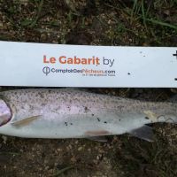 photo prise 160 par Les geais au bord de l'eau