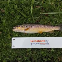photo prise 188 par Mathieu Duffas