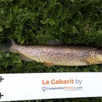 photo prise 213 par Mathieu Duffas