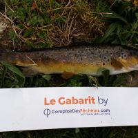 photo prise 218 par Mathieu Duffas