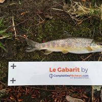 photo prise 224 par Mathieu Duffas