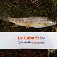 photo prise 225 par Mathieu Duffas