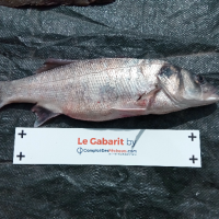 photo prise 532 par Alain Lannig