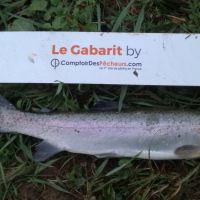 photo prise 287 par Les geais au bord de l'eau