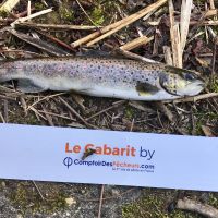 photo prise 304 par Baptise Laniel