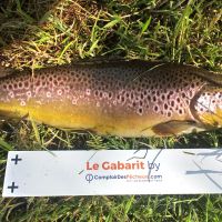 photo prise 306 par Mathieu Duffas
