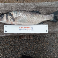 photo prise 548 par Alain Lannig