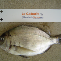 photo prise 563 par Jeannot