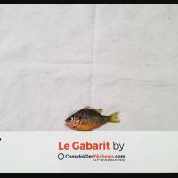 photo prise 350 par Hamadi