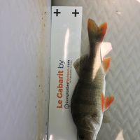 photo prise 364 par Sebcricri Fishing