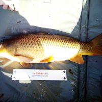photo prise 414 par Emilien Feron Fishing