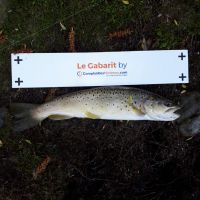 photo prise 441 par La tanche