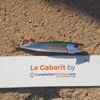 photo prise 454 par LORIS