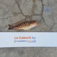 photo prise 455 par LORIS