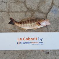 photo prise 456 par LORIS
