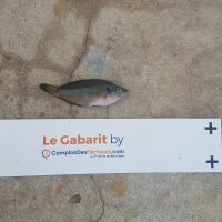 photo prise 458 par LORIS