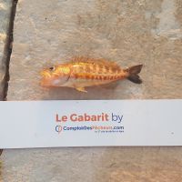photo prise 459 par LORIS
