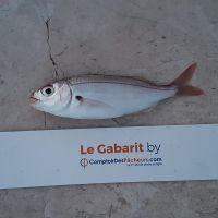 photo prise 461 par LORIS
