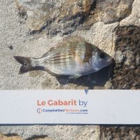 photo prise 463 par LORIS