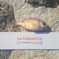 photo prise 464 par LORIS