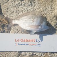 photo prise 465 par LORIS