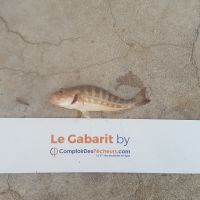 photo prise 476 par LORIS