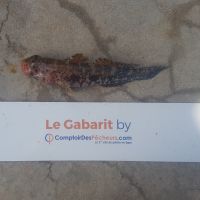 photo prise 486 par LORIS