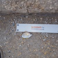 photo prise 639 par Houang