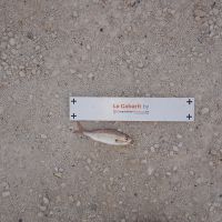 photo prise 640 par Houang