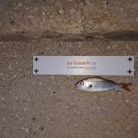 photo prise 655 par Houang