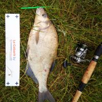 photo prise 682 par Emilien Feron Fishing