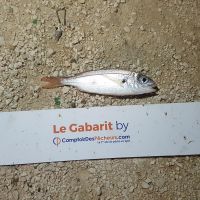 photo prise 745 par LORIS