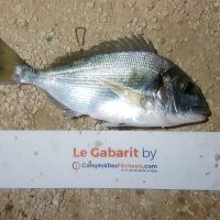 photo prise 748 par LORIS