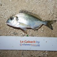 photo prise 749 par LORIS