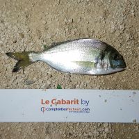 photo prise 751 par LORIS