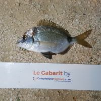 photo prise 752 par LORIS