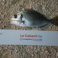 photo prise 754 par LORIS