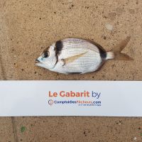 photo prise 822 par LORIS
