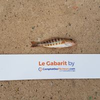 photo prise 824 par LORIS