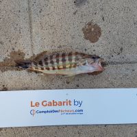 photo prise 826 par LORIS