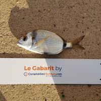 photo prise 827 par LORIS